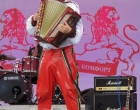 Корпоративы Корпоративы