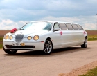 Jaguar Limo 